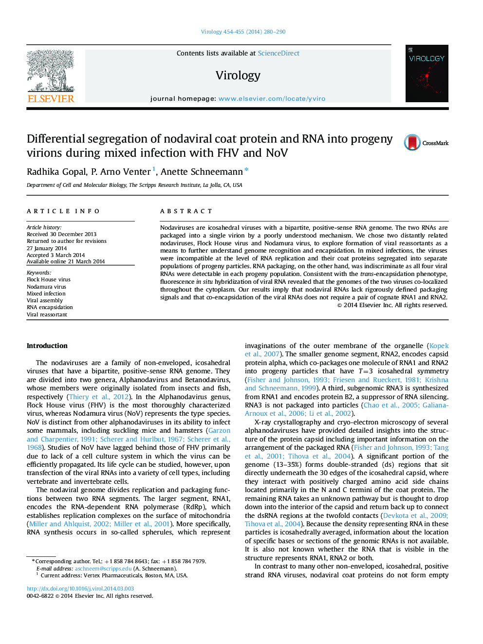 Differential segregation of nodaviral coat protein and RNA into progeny virions during mixed infection with FHV and NoV