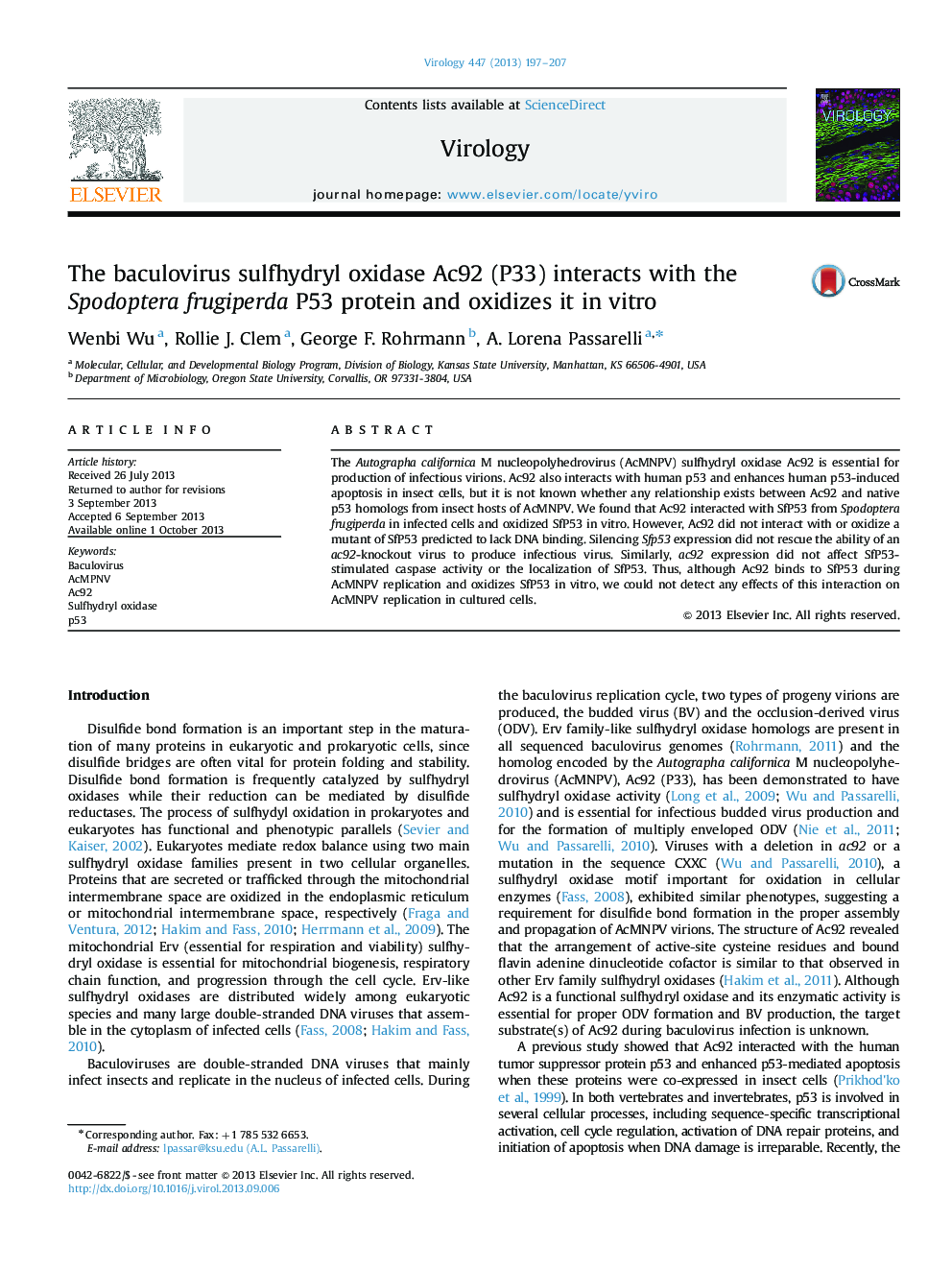 The baculovirus sulfhydryl oxidase Ac92 (P33) interacts with the Spodoptera frugiperda P53 protein and oxidizes it in vitro