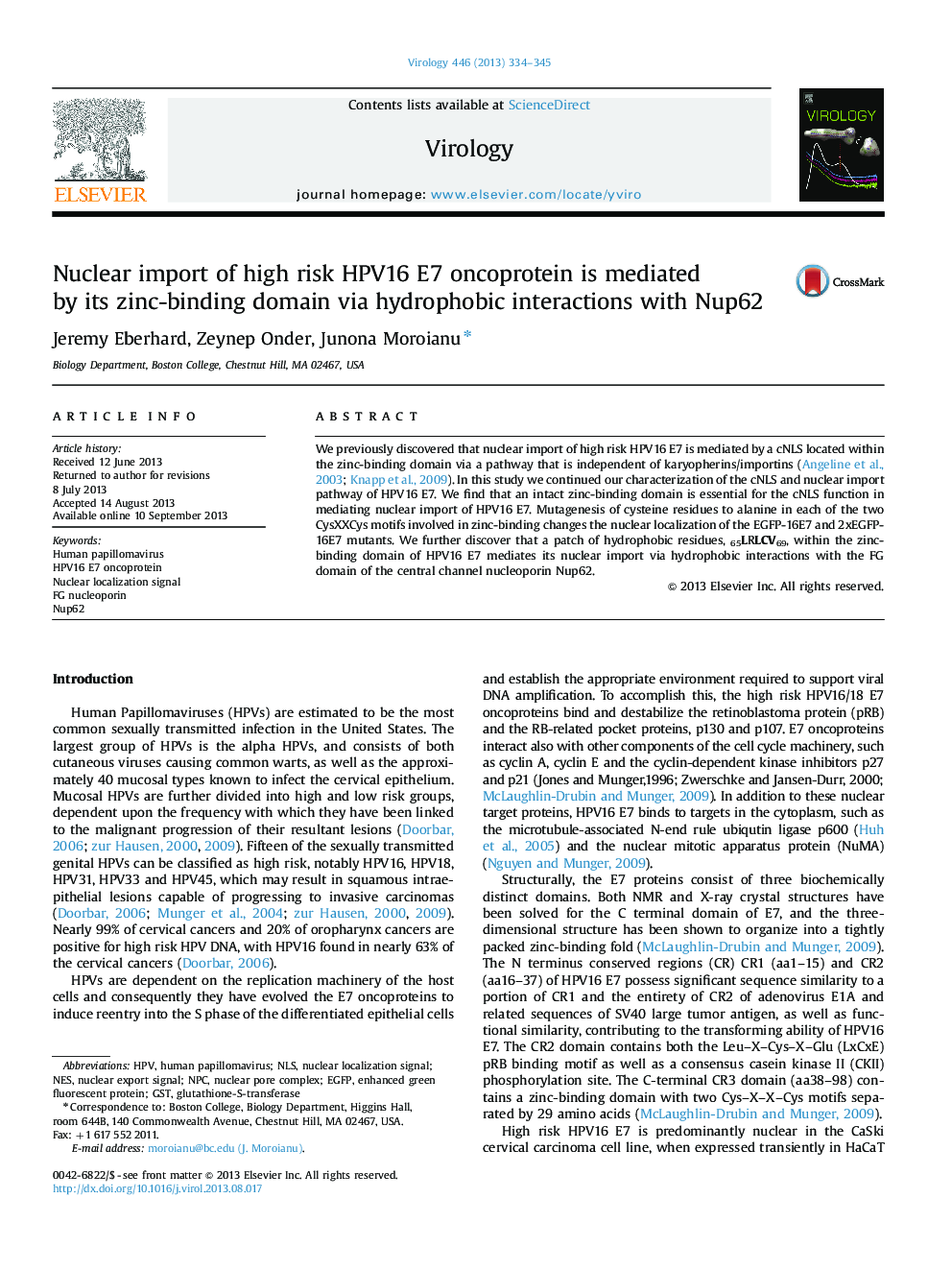 Nuclear import of high risk HPV16 E7 oncoprotein is mediated by its zinc-binding domain via hydrophobic interactions with Nup62