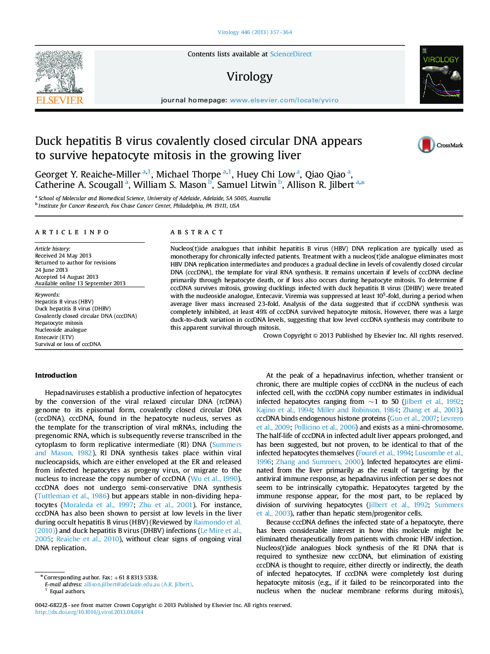 Duck hepatitis B virus covalently closed circular DNA appears to survive hepatocyte mitosis in the growing liver