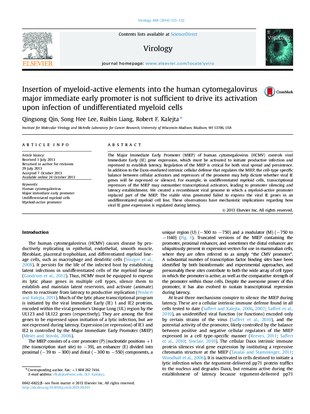 Insertion of myeloid-active elements into the human cytomegalovirus major immediate early promoter is not sufficient to drive its activation upon infection of undifferentiated myeloid cells