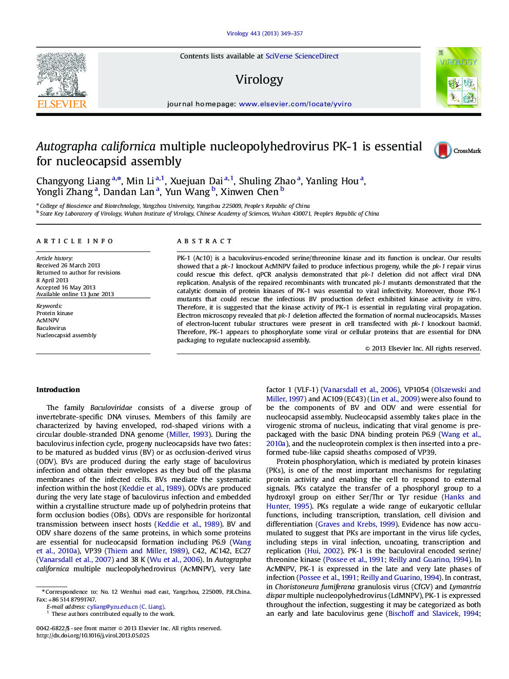 Autographa californica multiple nucleopolyhedrovirus PK-1 is essential for nucleocapsid assembly