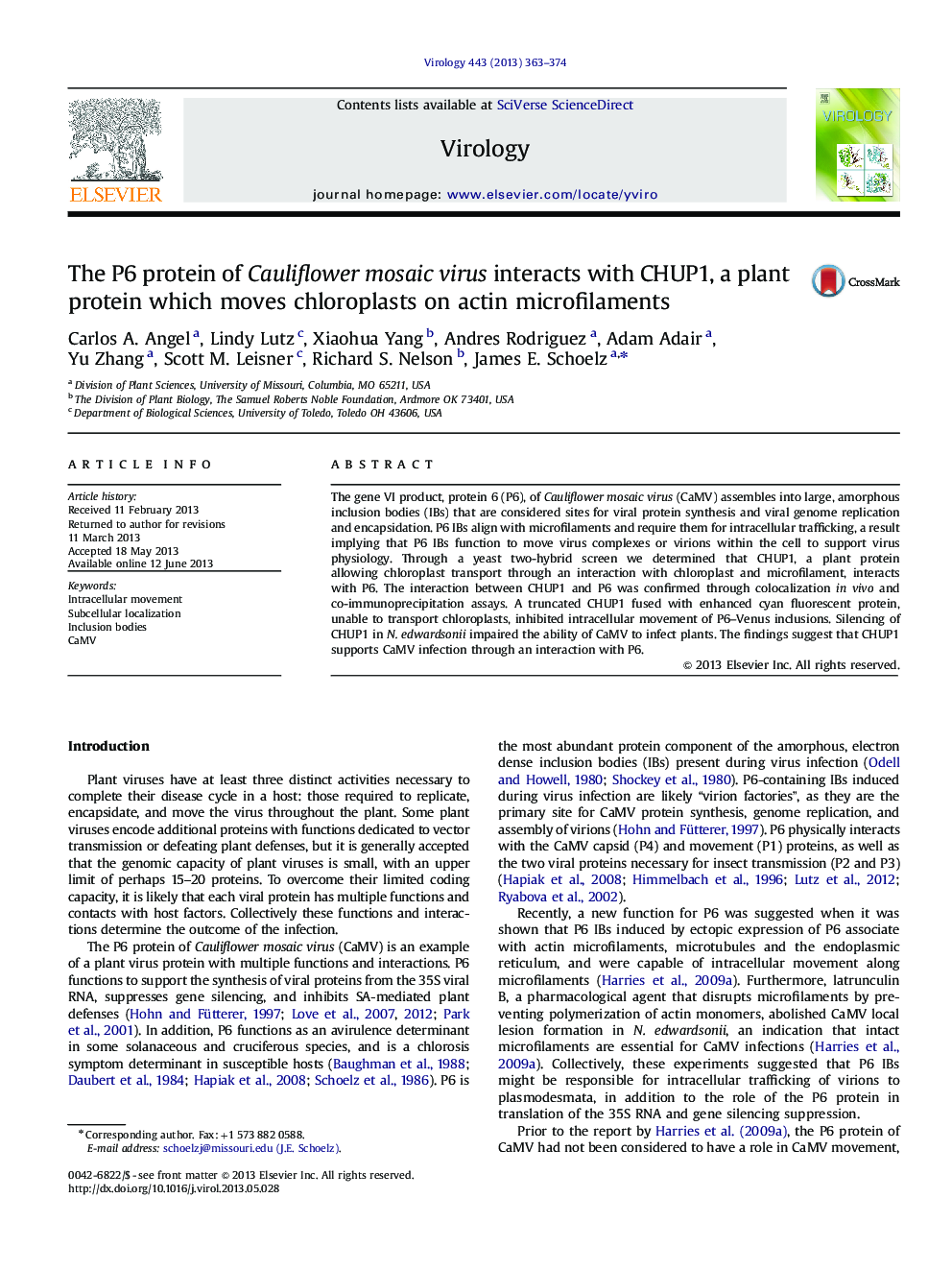 The P6 protein of Cauliflower mosaic virus interacts with CHUP1, a plant protein which moves chloroplasts on actin microfilaments