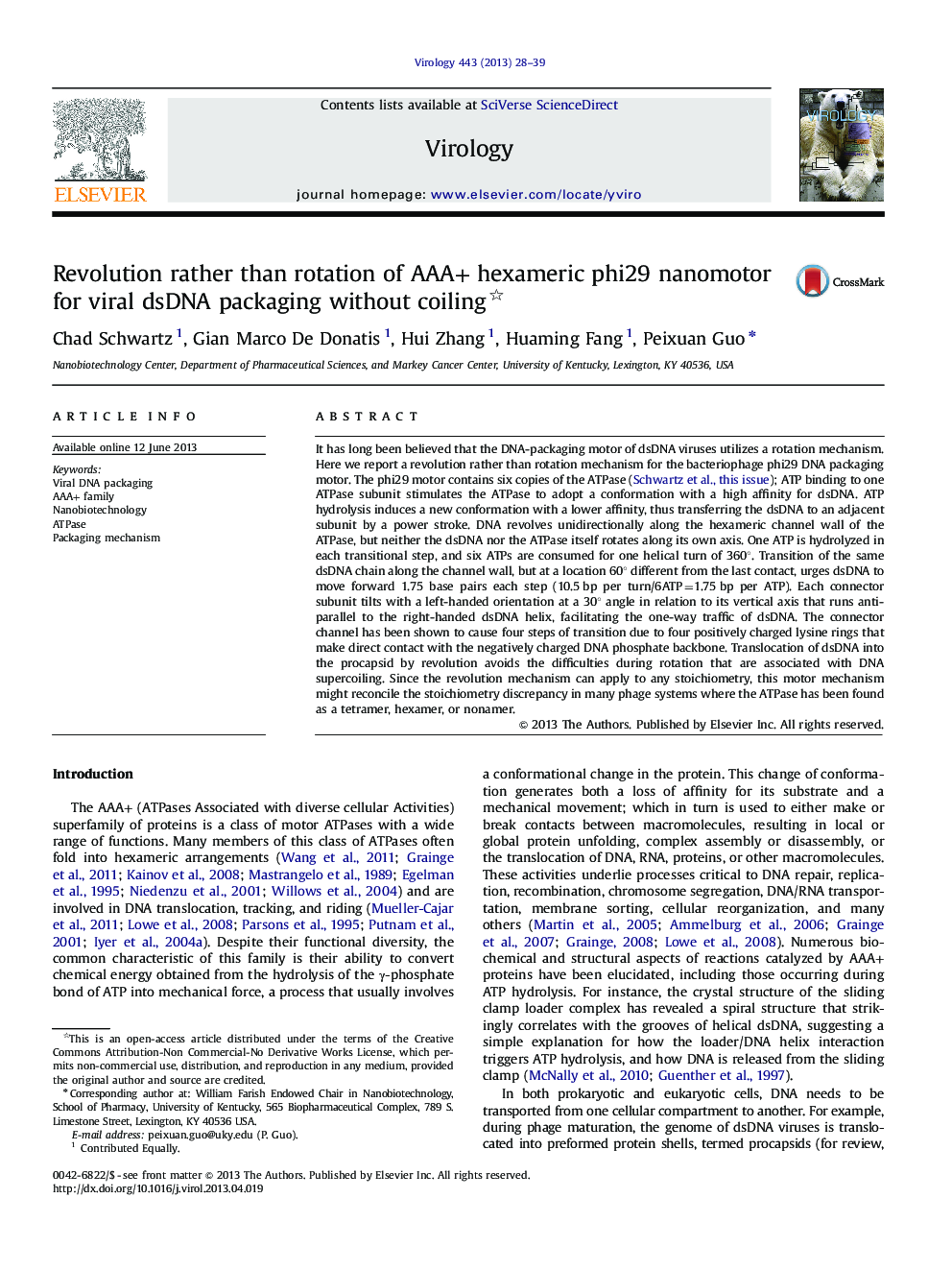 Revolution rather than rotation of AAA+ hexameric phi29 nanomotor for viral dsDNA packaging without coiling