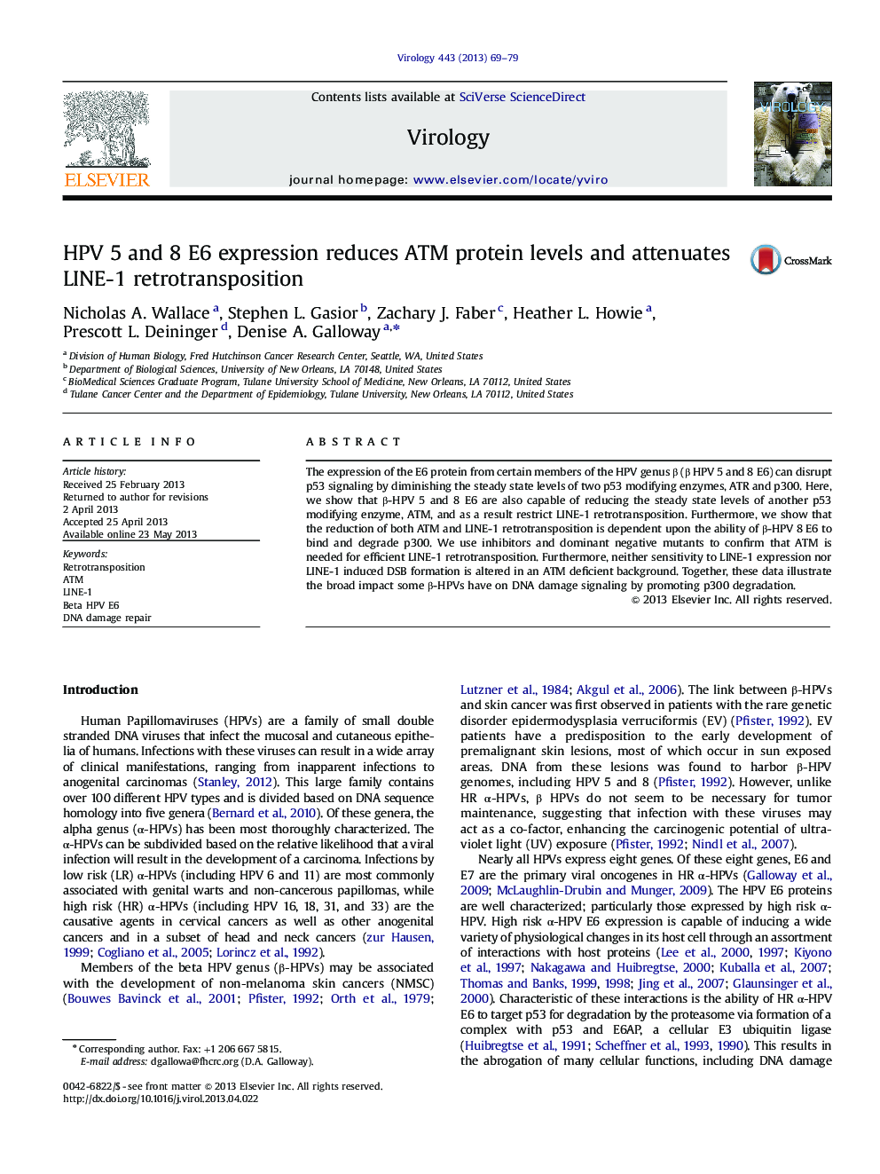 HPV 5 and 8 E6 expression reduces ATM protein levels and attenuates LINE-1 retrotransposition