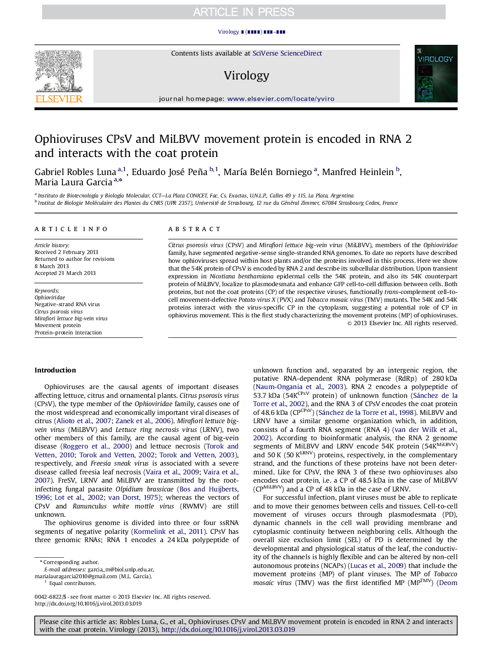 Ophioviruses CPsV and MiLBVV movement protein is encoded in RNA 2 and interacts with the coat protein