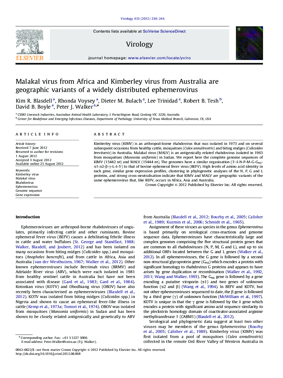 Malakal virus from Africa and Kimberley virus from Australia are geographic variants of a widely distributed ephemerovirus