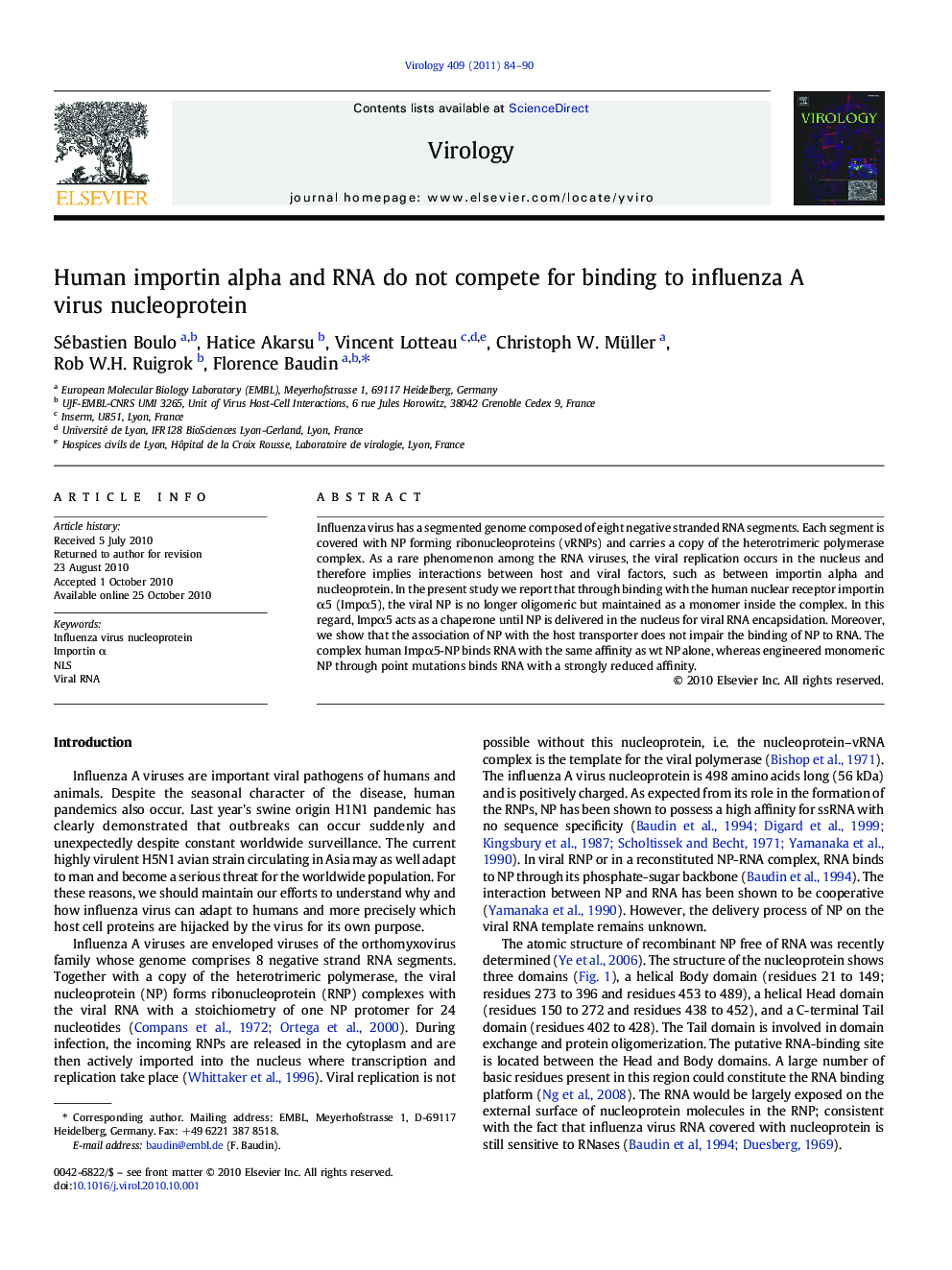 Human importin alpha and RNA do not compete for binding to influenza A virus nucleoprotein