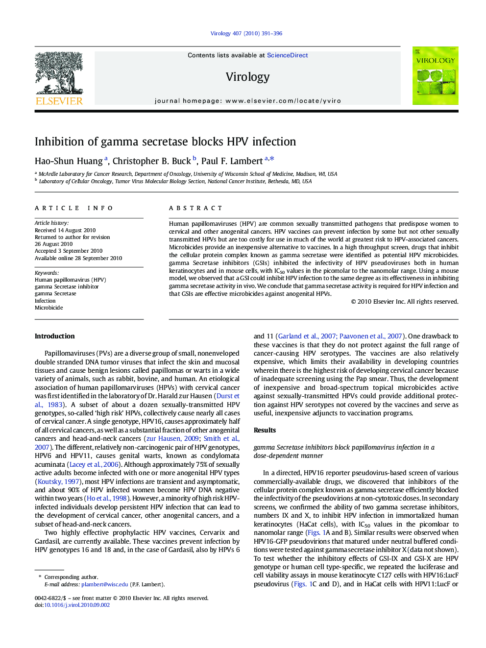 Inhibition of gamma secretase blocks HPV infection