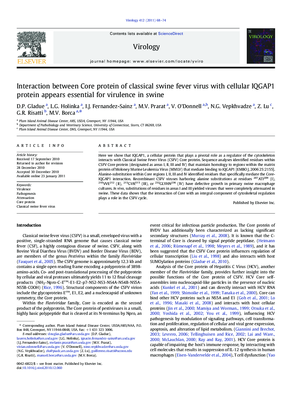 Interaction between Core protein of classical swine fever virus with cellular IQGAP1 protein appears essential for virulence in swine