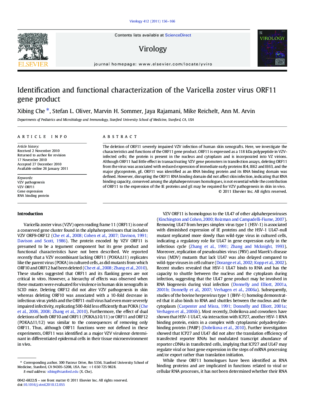 Identification and functional characterization of the Varicella zoster virus ORF11 gene product