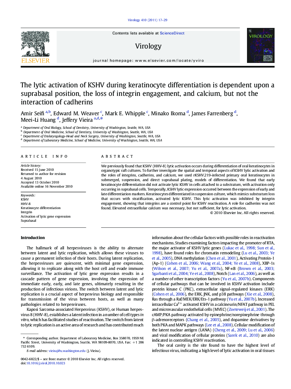 The lytic activation of KSHV during keratinocyte differentiation is dependent upon a suprabasal position, the loss of integrin engagement, and calcium, but not the interaction of cadherins