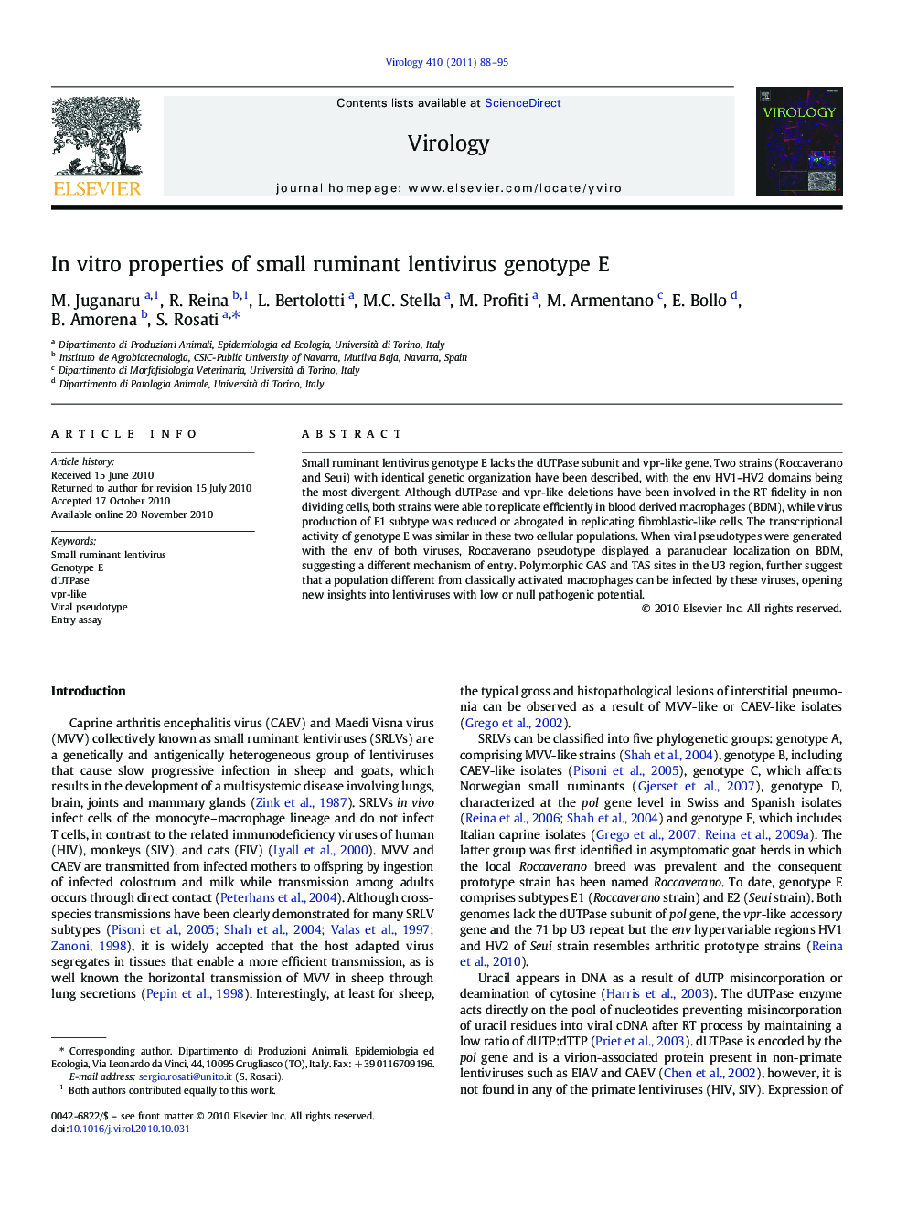 In vitro properties of small ruminant lentivirus genotype E