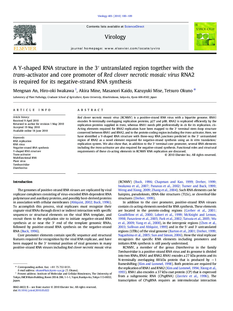 A Y-shaped RNA structure in the 3â² untranslated region together with the trans-activator and core promoter of Red clover necrotic mosaic virus RNA2 is required for its negative-strand RNA synthesis