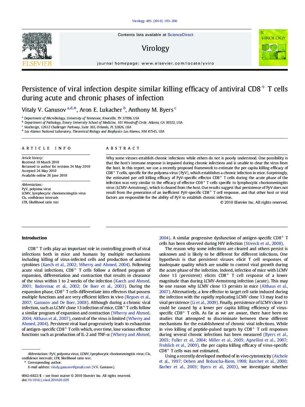 Persistence of viral infection despite similar killing efficacy of antiviral CD8+ T cells during acute and chronic phases of infection