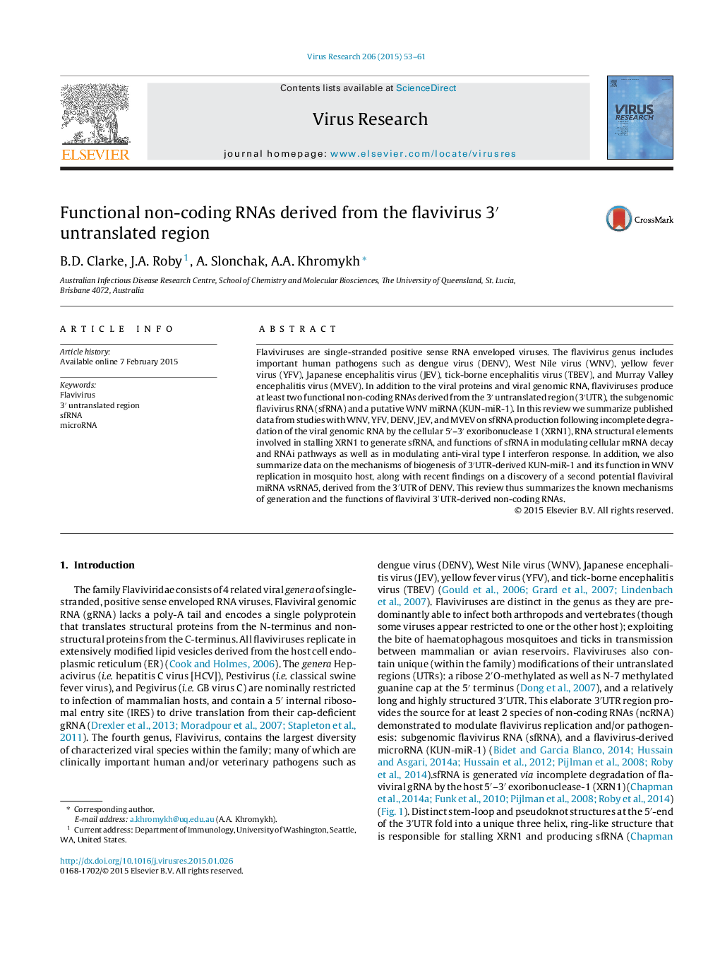 Functional non-coding RNAs derived from the flavivirus 3â² untranslated region