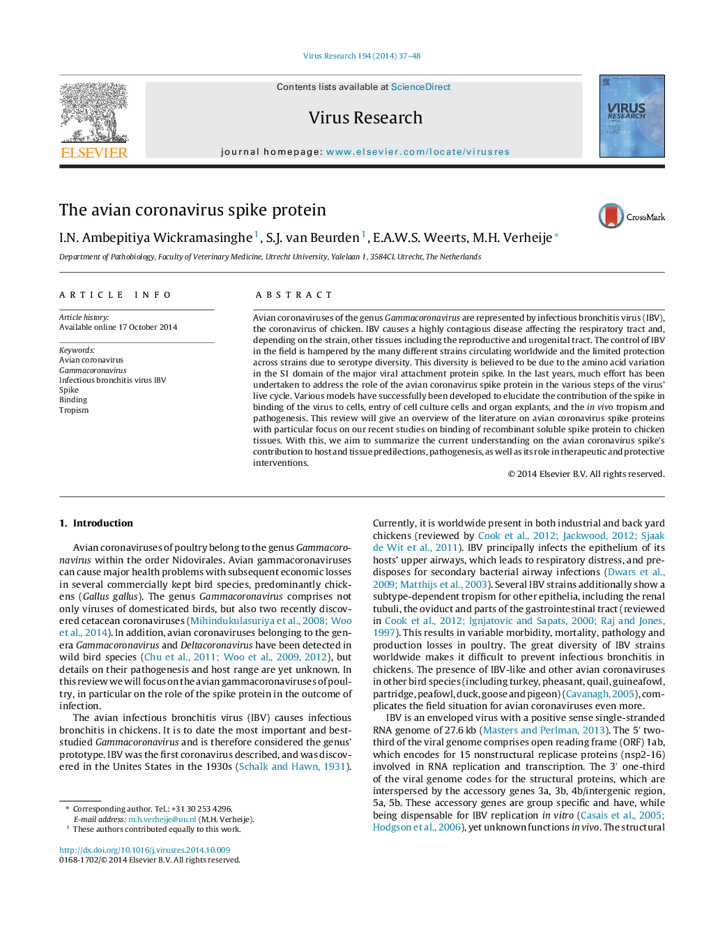 The avian coronavirus spike protein