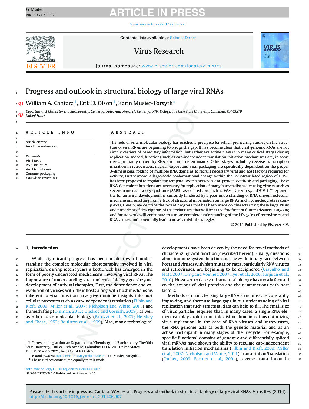 Progress and outlook in structural biology of large viral RNAs