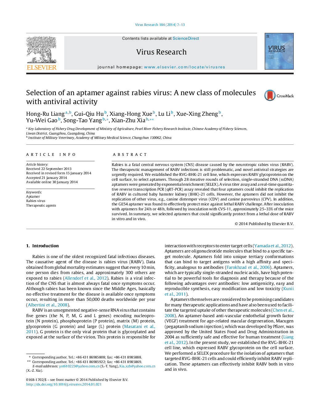 Selection of an aptamer against rabies virus: A new class of molecules with antiviral activity