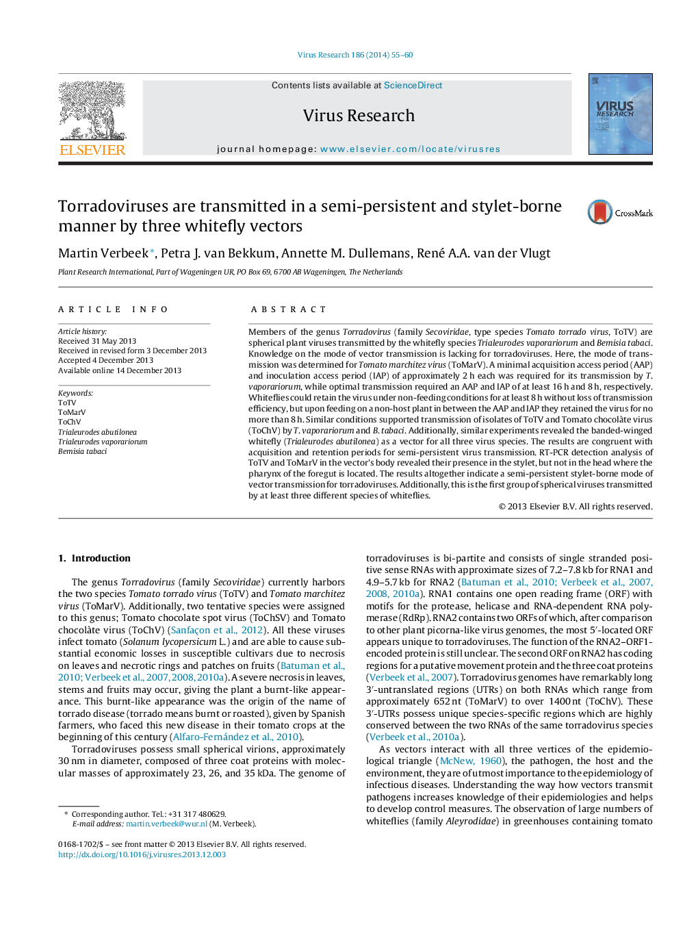 Torradoviruses are transmitted in a semi-persistent and stylet-borne manner by three whitefly vectors