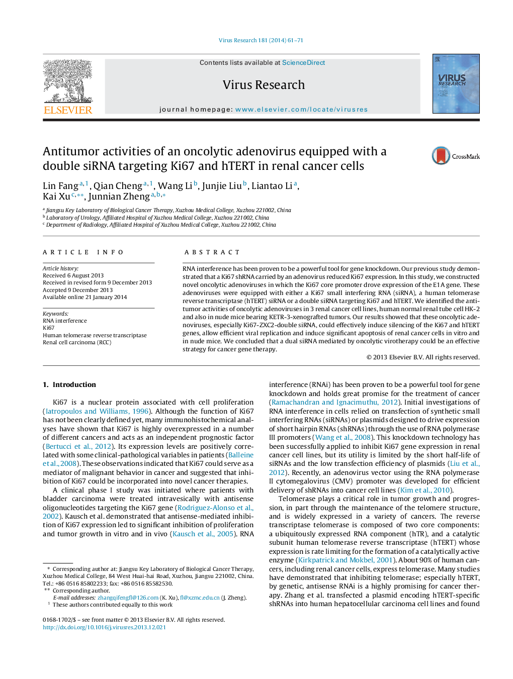 Antitumor activities of an oncolytic adenovirus equipped with a double siRNA targeting Ki67 and hTERT in renal cancer cells