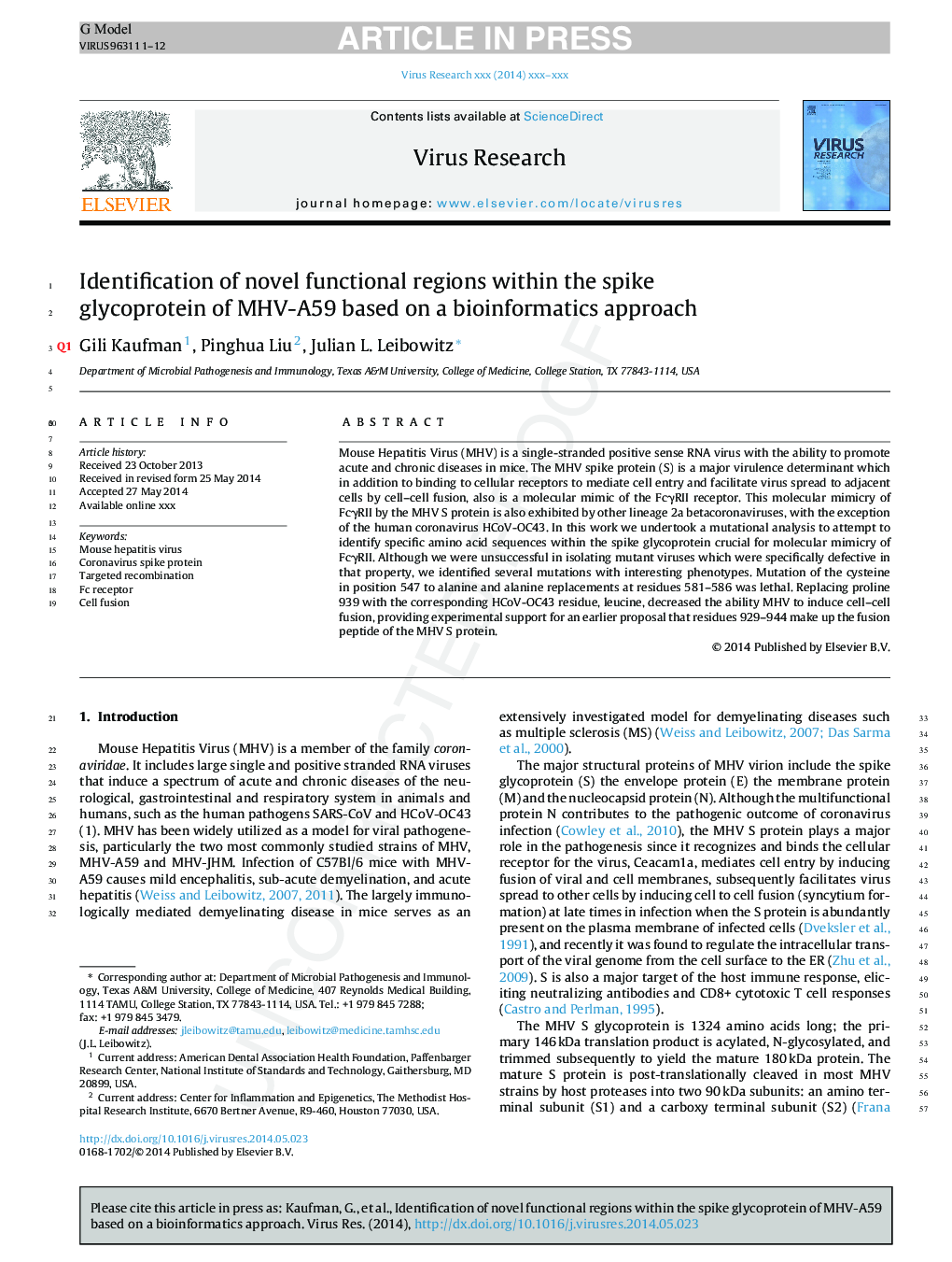 Identification of novel functional regions within the spike glycoprotein of MHV-A59 based on a bioinformatics approach