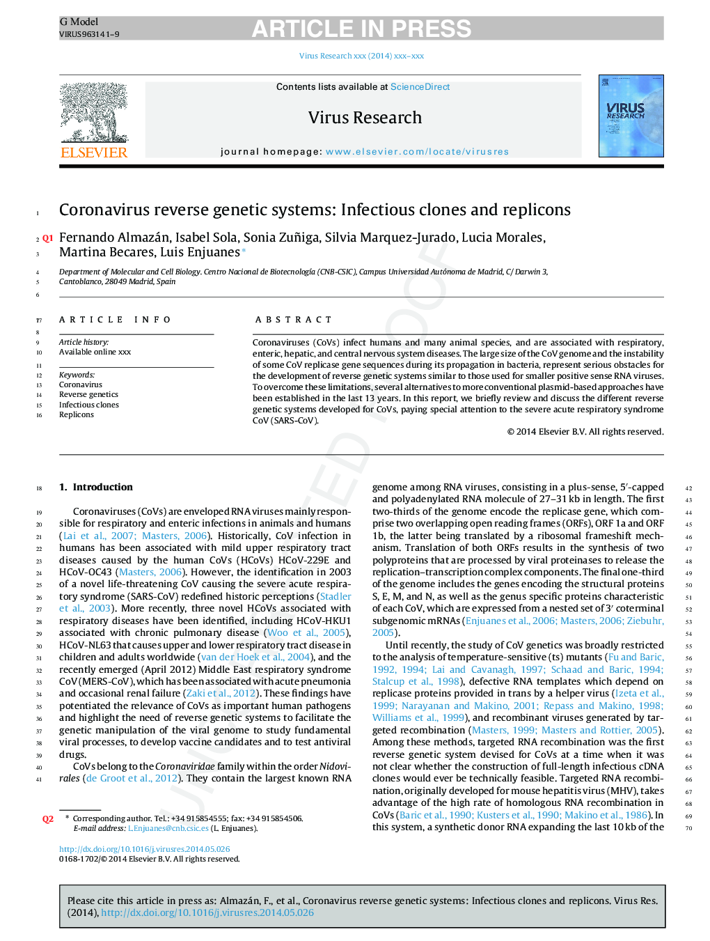 Coronavirus reverse genetic systems: Infectious clones and replicons