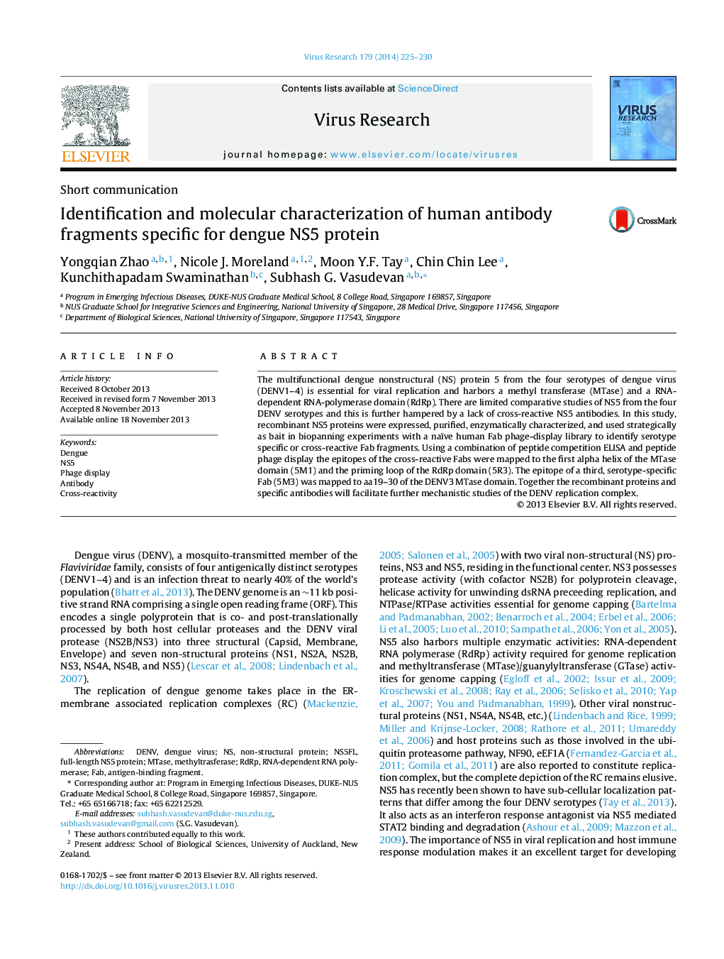 Identification and molecular characterization of human antibody fragments specific for dengue NS5 protein