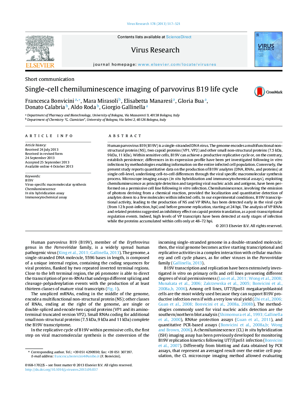 Single-cell chemiluminescence imaging of parvovirus B19 life cycle