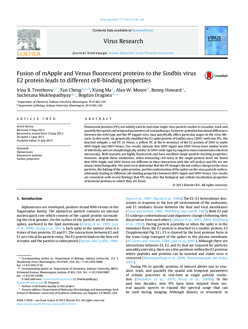 Fusion of mApple and Venus fluorescent proteins to the Sindbis virus E2 protein leads to different cell-binding properties