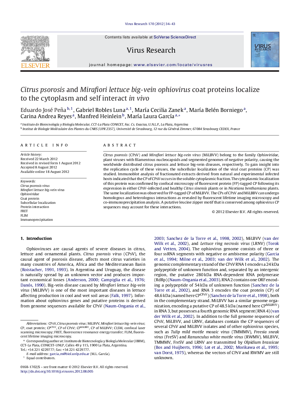 Citrus psorosis and Mirafiori lettuce big-vein ophiovirus coat proteins localize to the cytoplasm and self interact in vivo