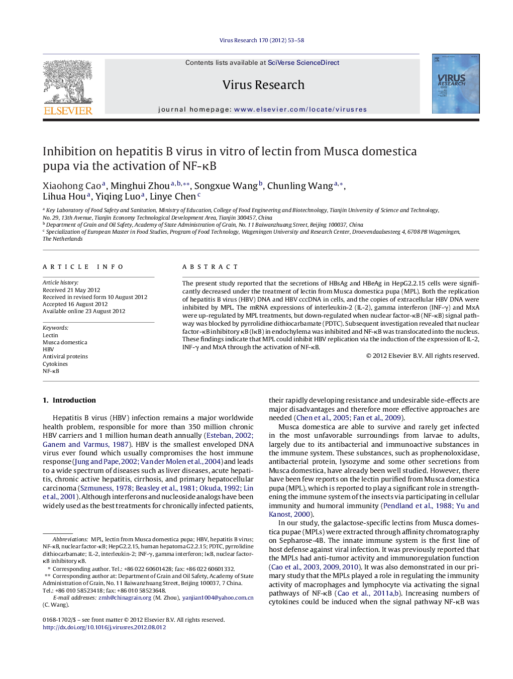 Inhibition on hepatitis B virus in vitro of lectin from Musca domestica pupa via the activation of NF-ÎºB