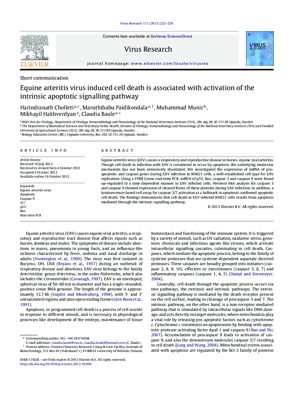 Equine arteritis virus induced cell death is associated with activation of the intrinsic apoptotic signalling pathway