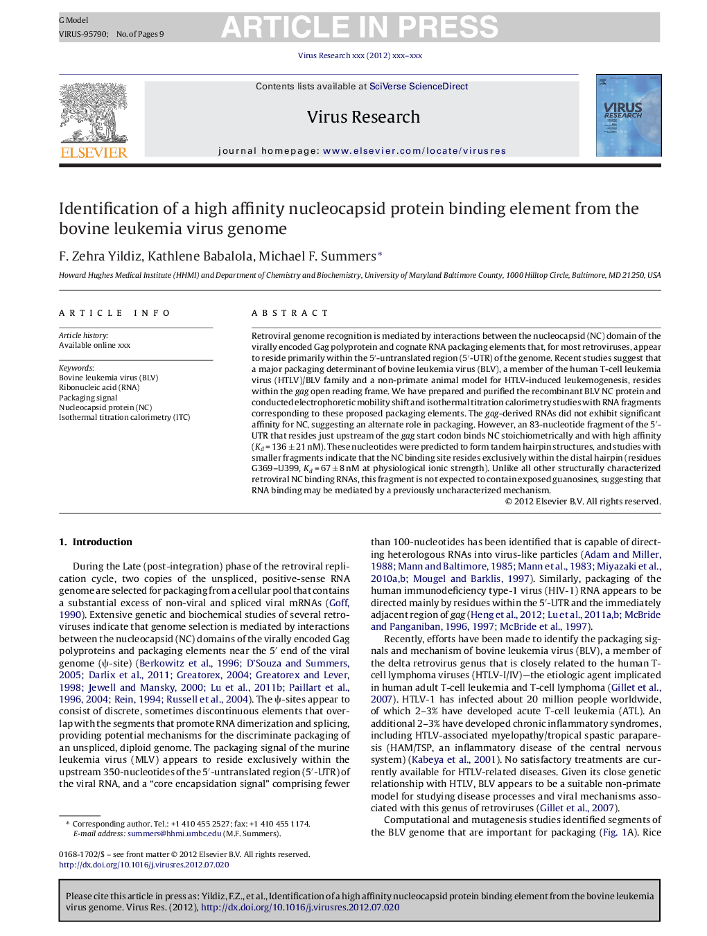 Identification of a high affinity nucleocapsid protein binding element from the bovine leukemia virus genome