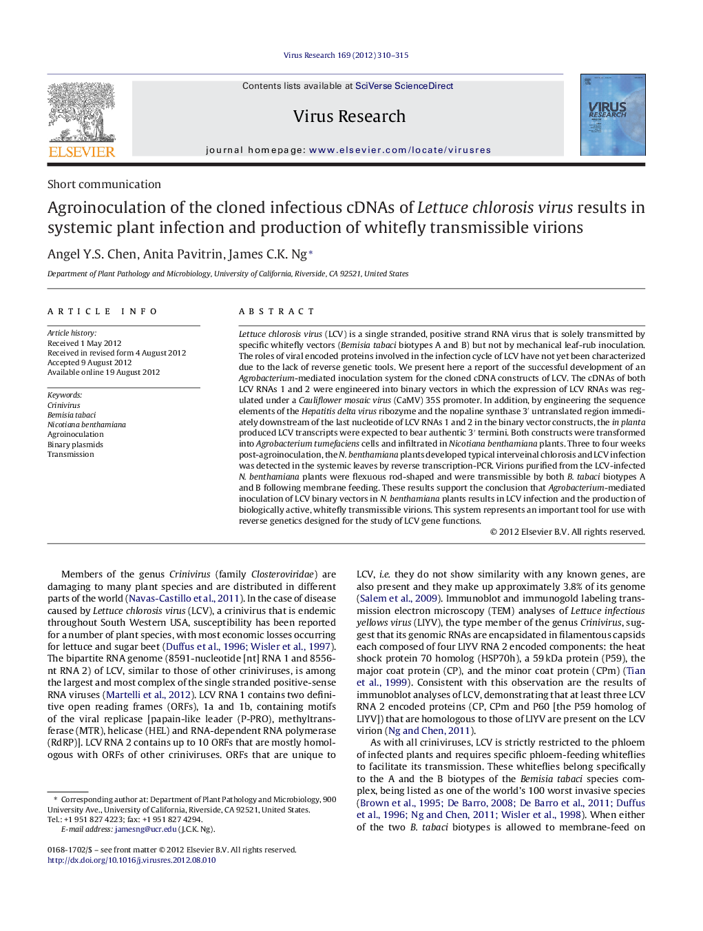 Agroinoculation of the cloned infectious cDNAs of Lettuce chlorosis virus results in systemic plant infection and production of whitefly transmissible virions