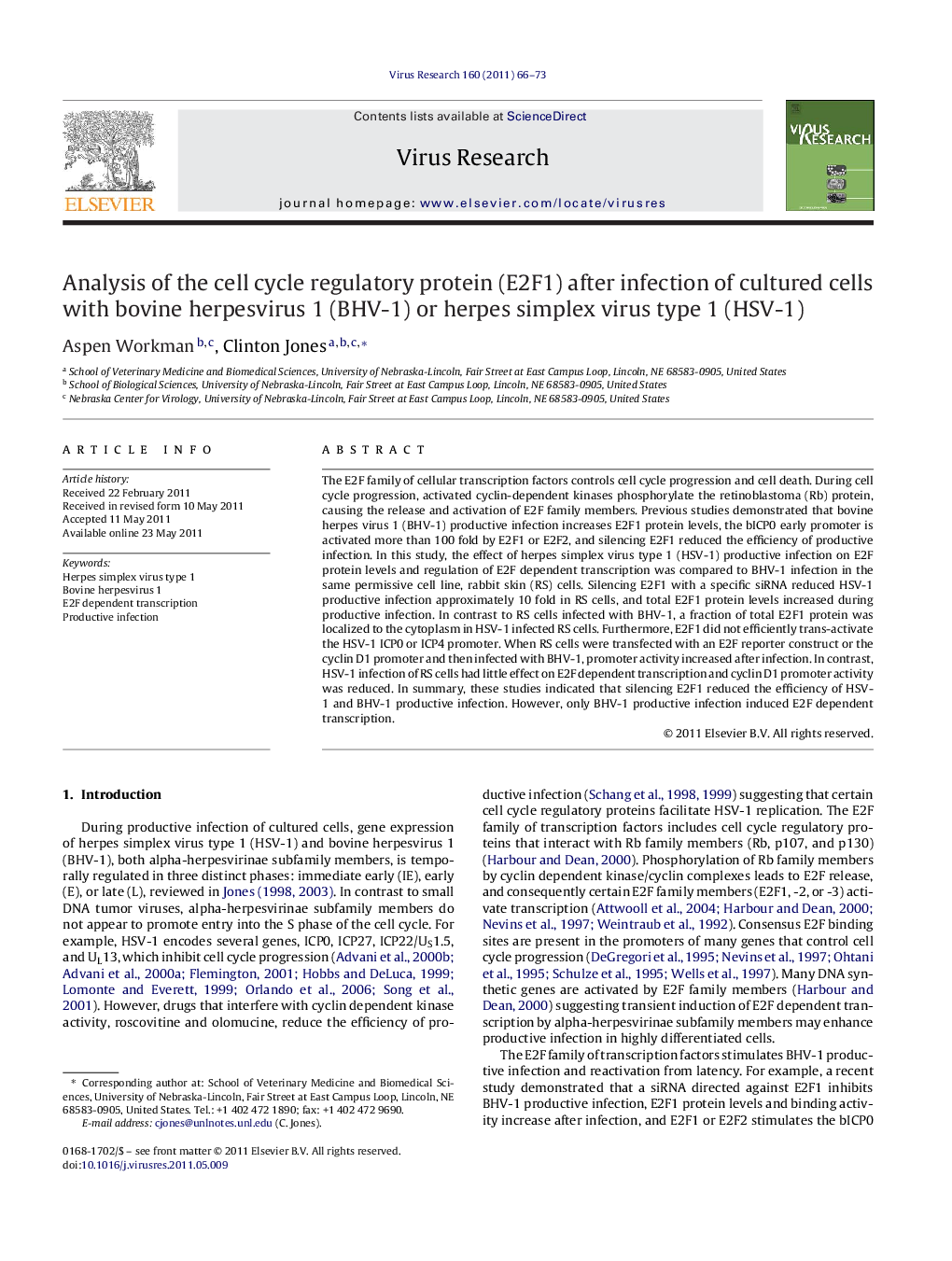 Analysis of the cell cycle regulatory protein (E2F1) after infection of cultured cells with bovine herpesvirus 1 (BHV-1) or herpes simplex virus type 1 (HSV-1)