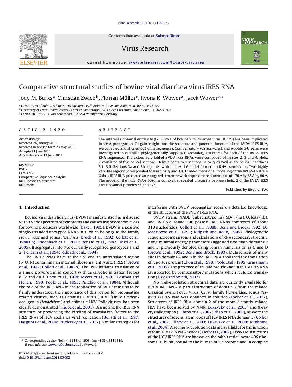 Comparative structural studies of bovine viral diarrhea virus IRES RNA