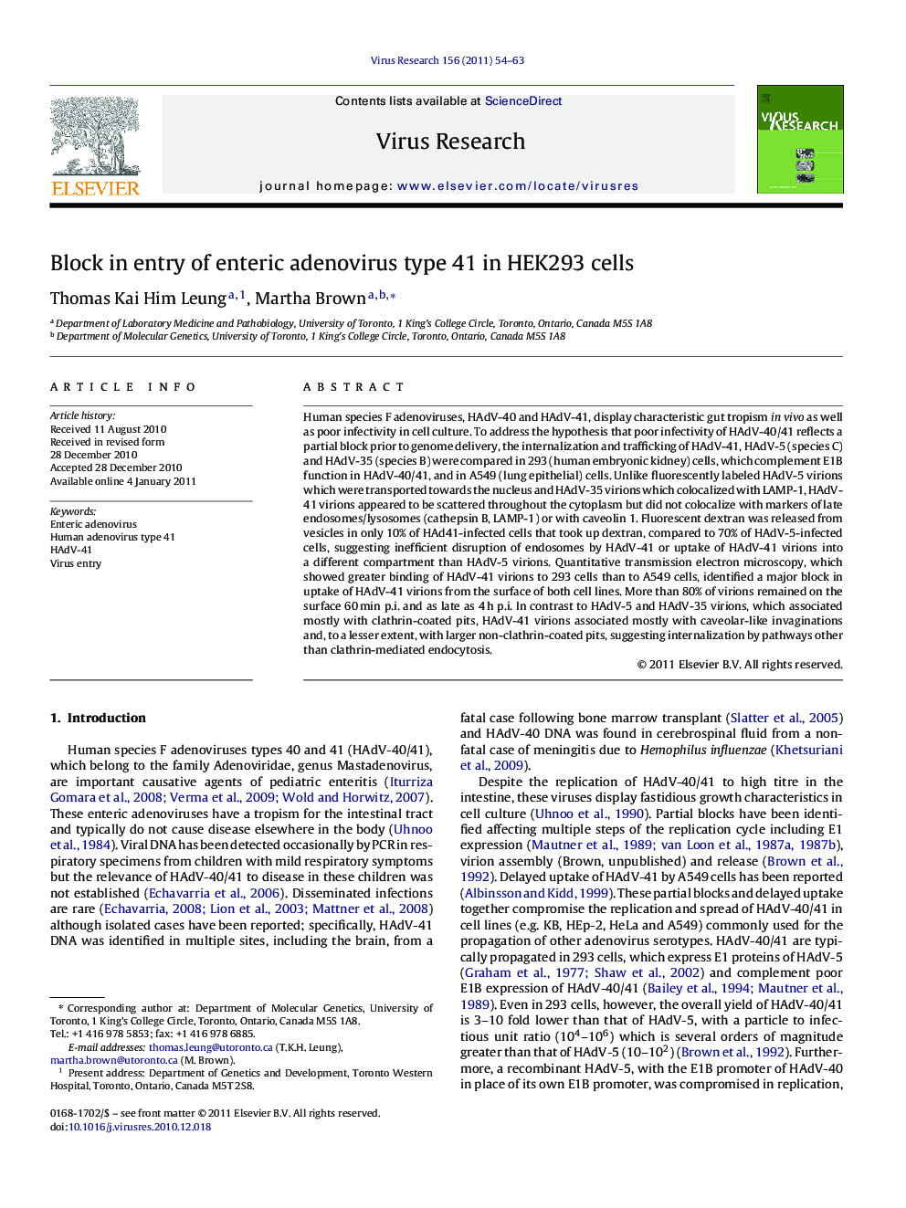 Block in entry of enteric adenovirus type 41 in HEK293 cells