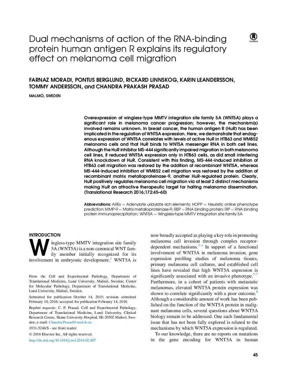 Dual mechanisms of action of the RNA-binding protein human antigen R explains its regulatory effect on melanoma cell migration