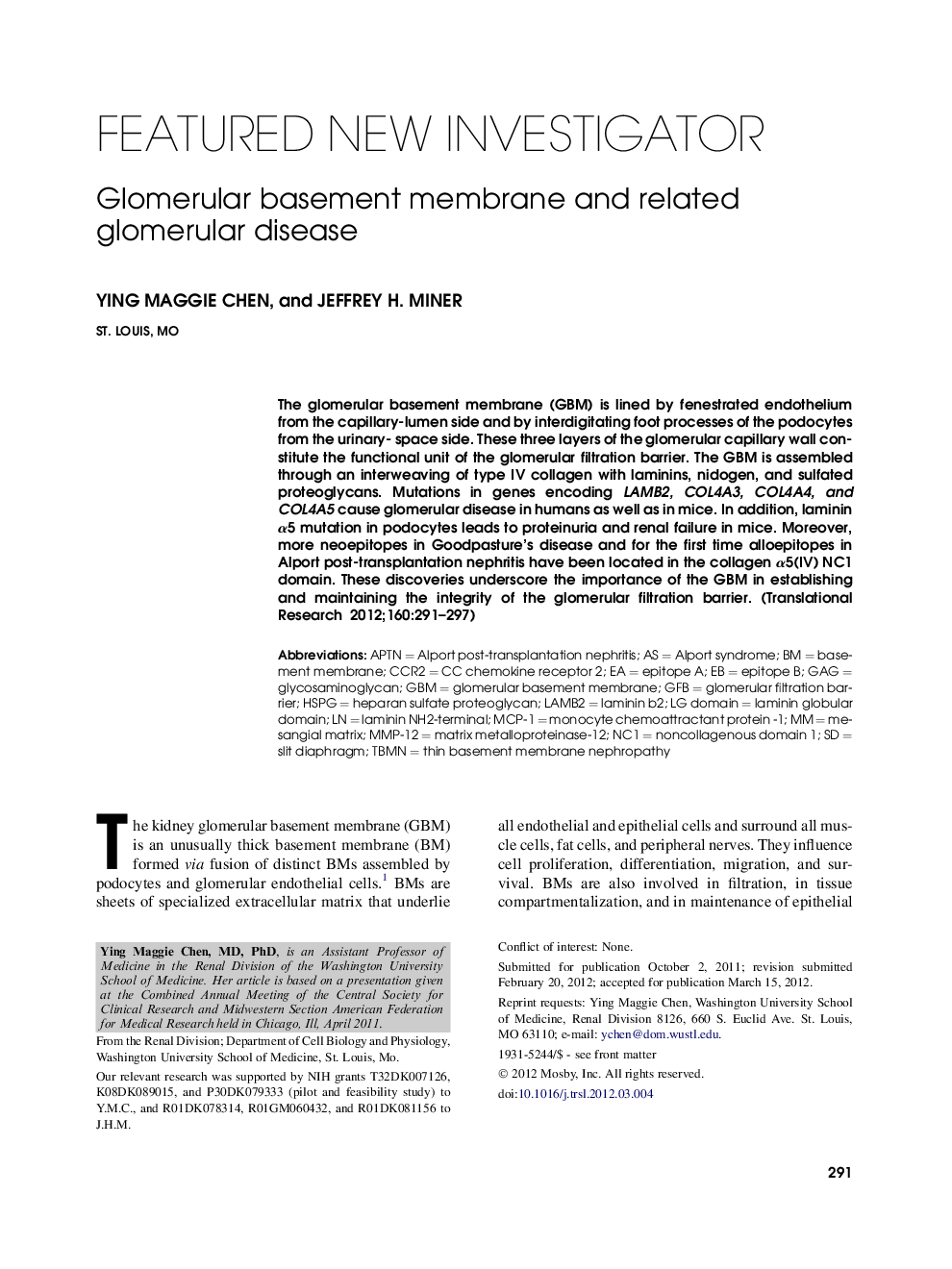 Glomerular basement membrane and related glomerular disease