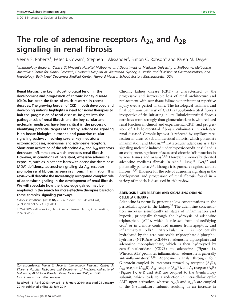 The role of adenosine receptors A2A and A2B signaling in renal fibrosis