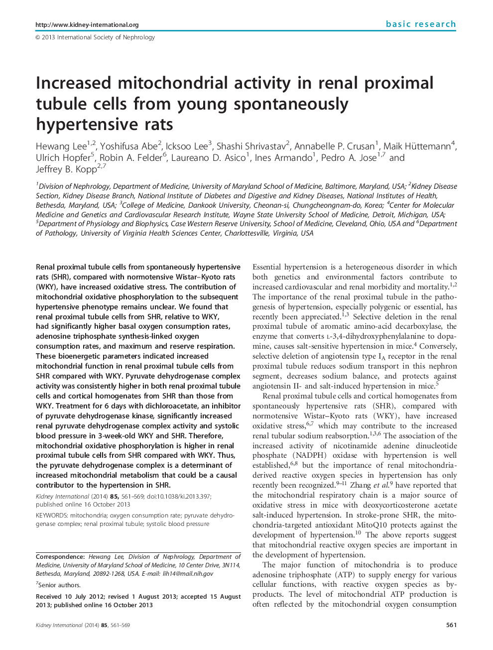 Increased mitochondrial activity in renal proximal tubule cells from young spontaneously hypertensive rats