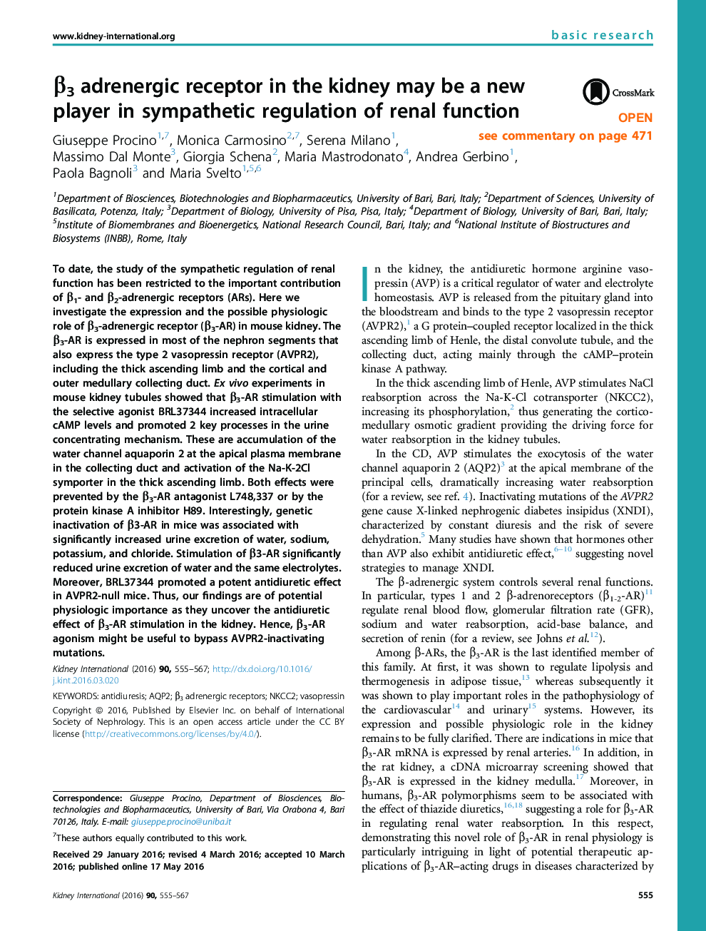 Î²3 adrenergic receptor in the kidney may be a new player in sympathetic regulation of renal function