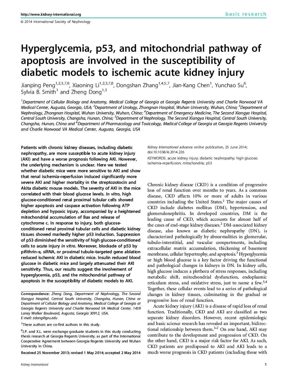 Hyperglycemia, p53, and mitochondrial pathway of apoptosis are involved in the susceptibility of diabetic models to ischemic acute kidney injury