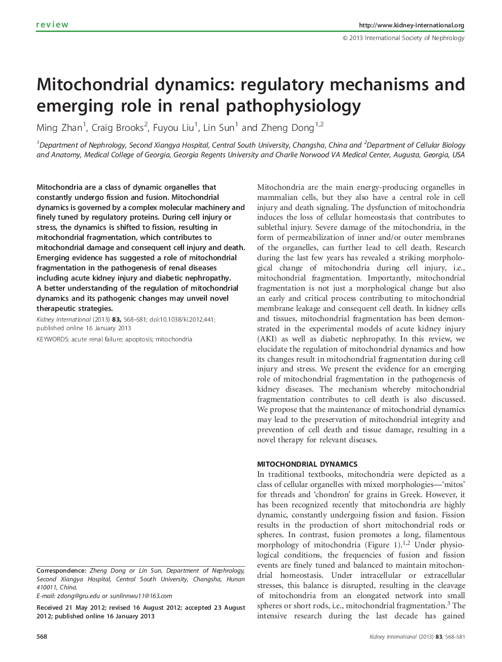 Mitochondrial dynamics: regulatory mechanisms and emerging role in renal pathophysiology