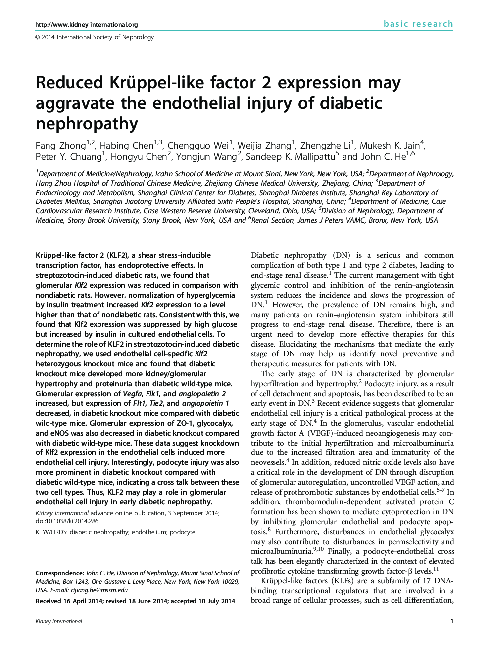 Reduced Krüppel-like factor 2 expression may aggravate the endothelial injury of diabetic nephropathy