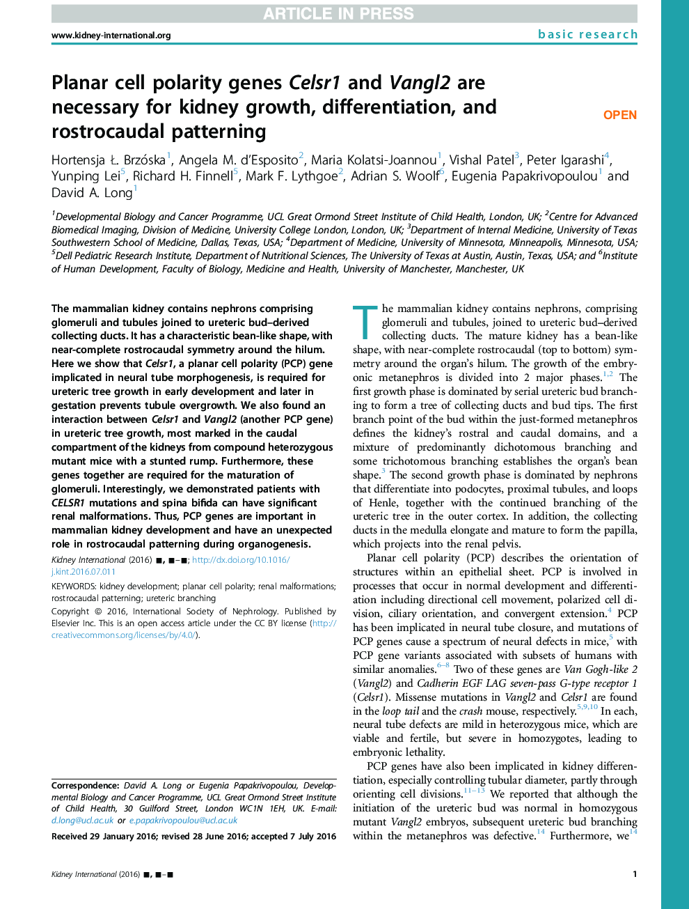 Planar cell polarity genes Celsr1 and Vangl2 are necessary for kidney growth, differentiation, and rostrocaudal patterning