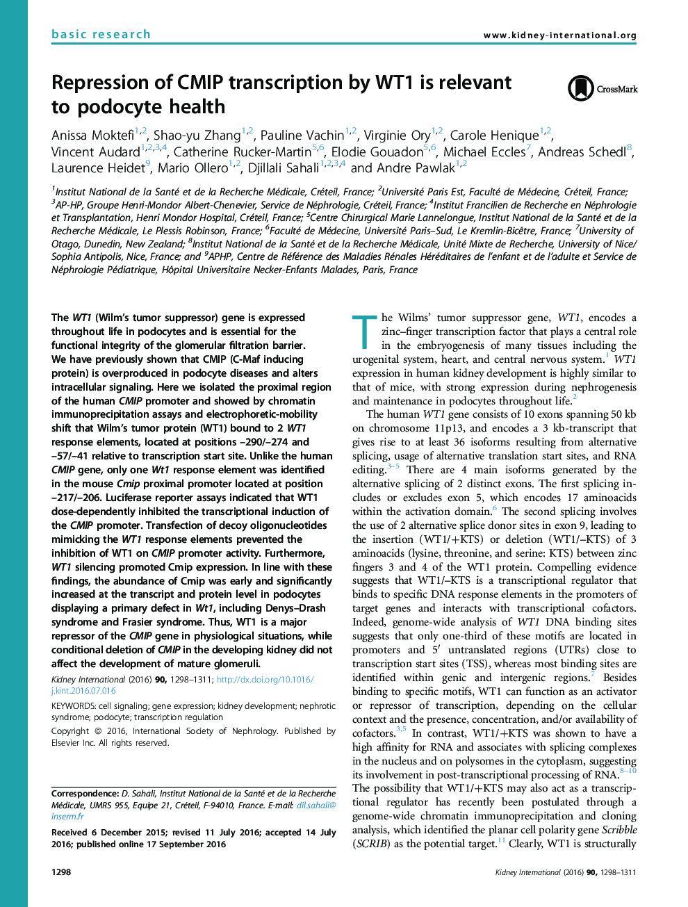 Repression of CMIP transcription by WT1 is relevant to podocyte health