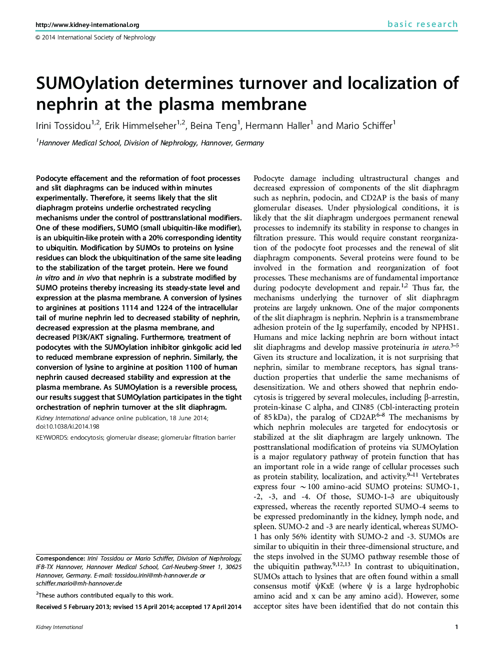 SUMOylation determines turnover and localization of nephrin at the plasma membrane