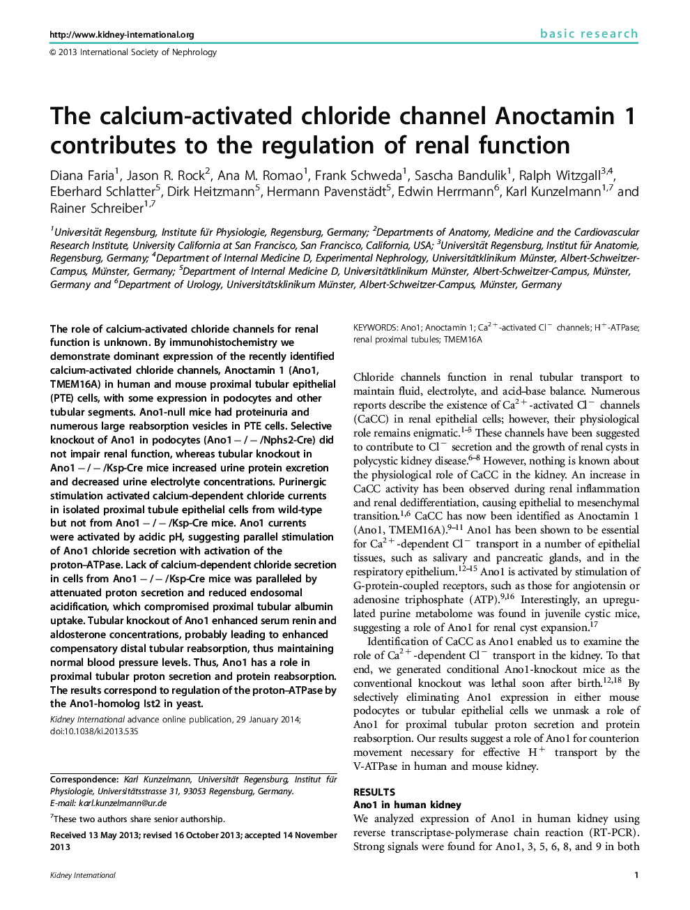 The calcium-activated chloride channel Anoctamin 1 contributes to the regulation of renal function